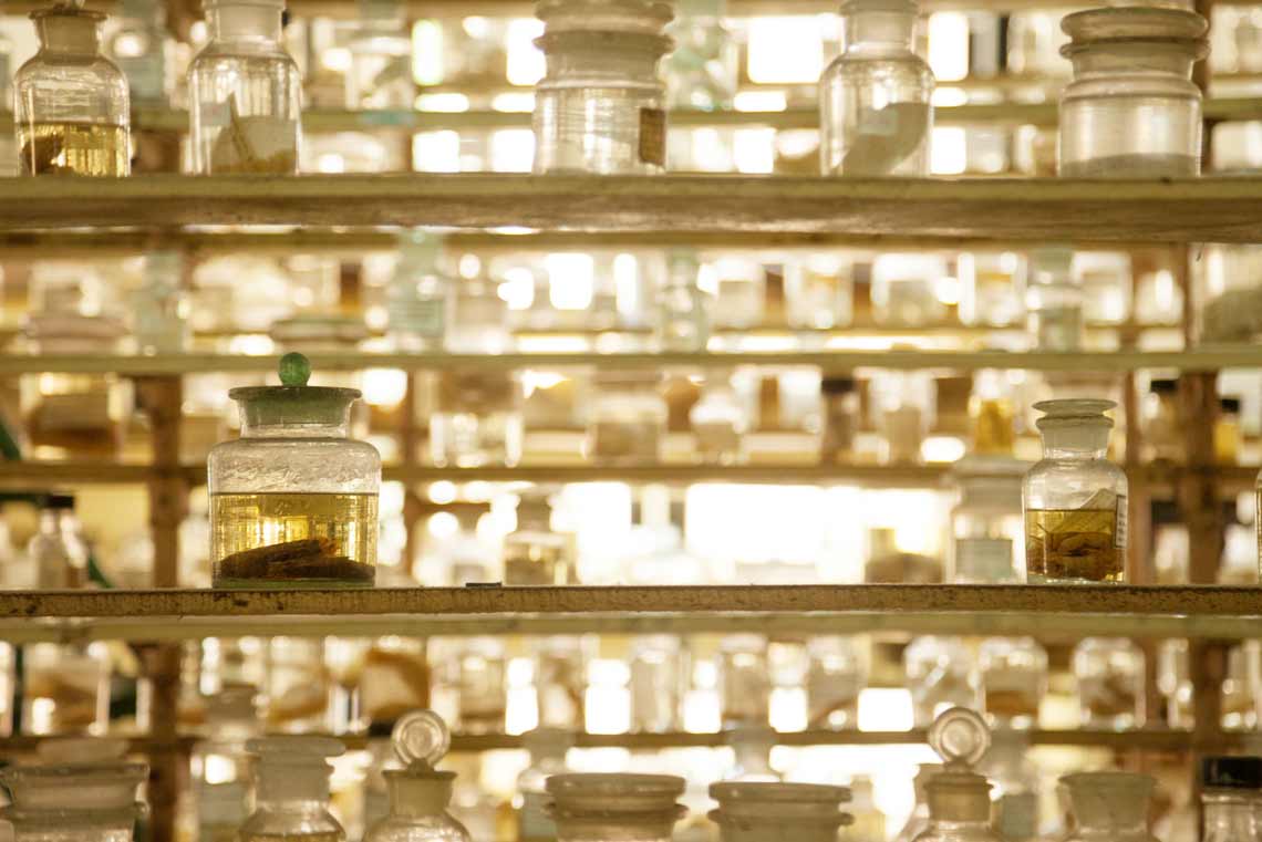 Museum für Naturwissenschaften