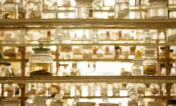 Museum für Naturwissenschaften