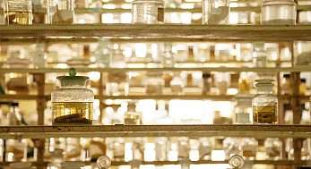 Museum für Naturwissenschaften